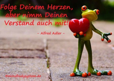 Folge Deinem Herzen, aber nimm Deinen Verstand auch mit! - Alfred Adler -