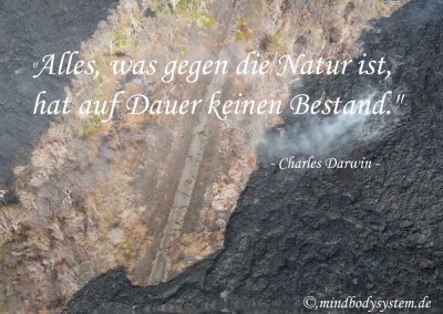 "Alles, was gegen die Natur ist, hat auf Dauer keinen Bestand." -charles darwin-