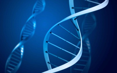 Epigenetik – Gene sind kein Schicksal