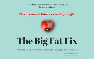 The Big Fat Fix